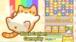 Block Cat jam Game Gameplay screenshot 2