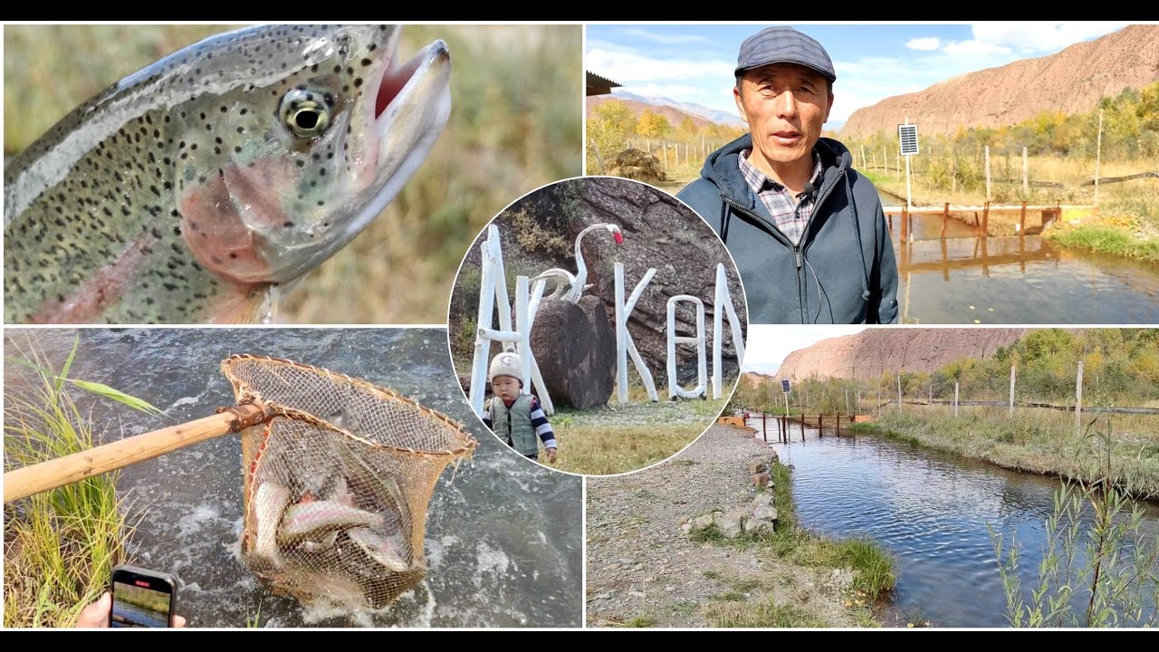 Ээн жерди ээнсиретпей балык чарба түптөгөн Токтобек Калмамбетов