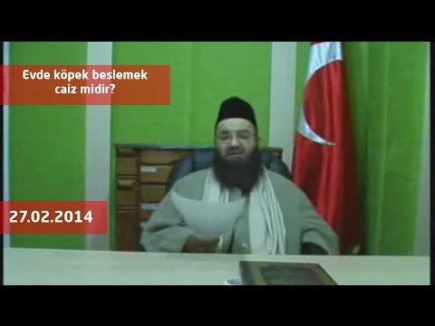 cubbeli ahmet hoca evde kopek beslemek caiz midir youtube