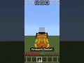 #minecraft first time trying to fly elytra