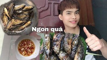 Sắp son | một buổi sáng câu cá rô đồng làm cá chiên giòn