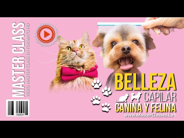 Belleza Capilar Felina y Canina - Tus mascotas limpias y sanas.