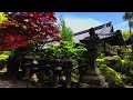 癒しの石清水八幡宮～展望台 初夏の新緑が美しい八幡宮をゆっくり歩く｢リラックス｣散歩【5月13日】