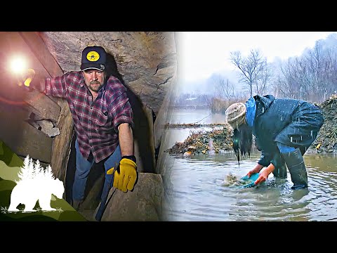 Gold Fever: The Hunt for Nature's Most Precious Gift | Adventure Series