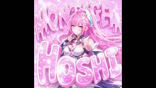 MONTAGEM HOSHI