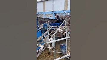 Quê em mùa nước nổi #cuocsongmientay #shorts #fishing