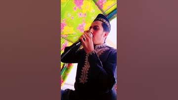 تلاوة عطرة من سورة يوسف بمقام غزل البيات بصوت القارئ والمنشد ملا محمد الصالحي /كركوك. شوراو #لايك