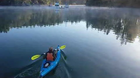 Misty Morning on Harstine Island by Drone