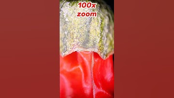 Maximum zoom - pepper#amazing #asmr #macro #zoom #shorts