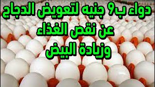 دواء بشري هيساعد الدجاج علي تعويض نقص الغذاء وزيادة البيض بأقل التكاليف زجاجة هتعمر بيتك بالخير ات ?