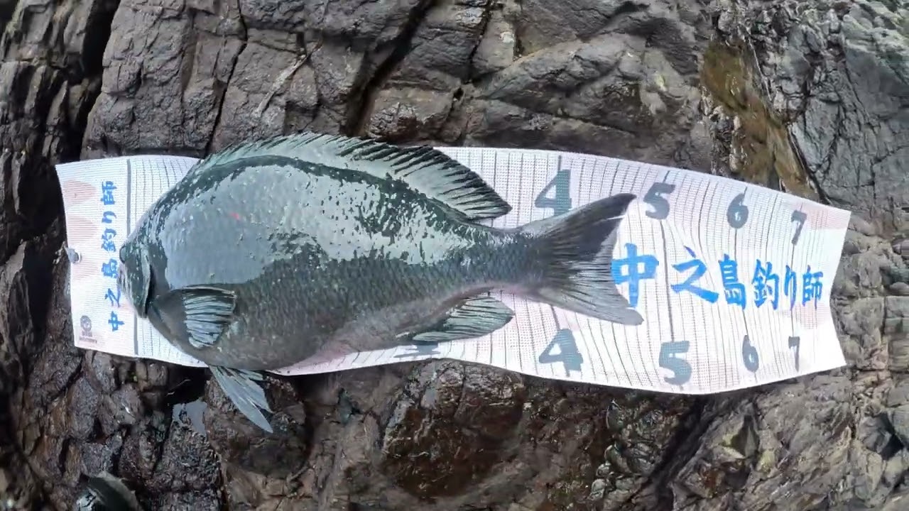 【磯釣り】西ノ島　済の鼻