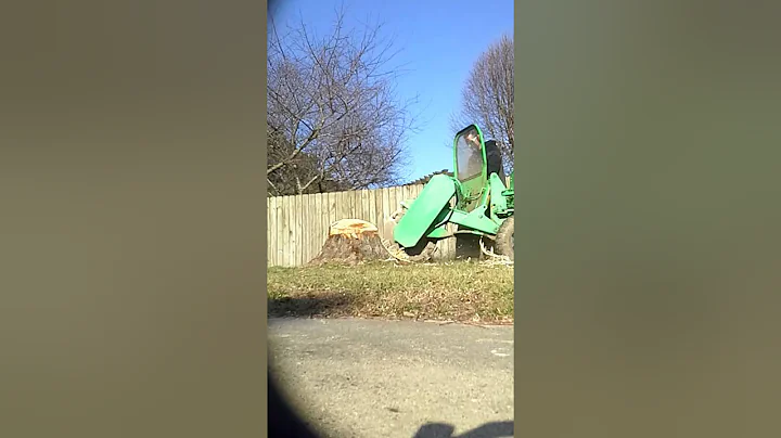 Stump removal virginia