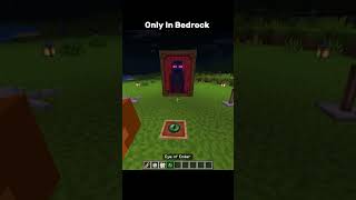 Minecraft Only in bedrock #minecraft #shorts