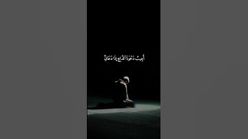 اكتب شيء تؤجر عليه 😴🩶 | قران كريم | فارس عباد