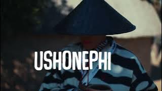 Nelz - Emakudeni [Feat. Mnqobi Yazo and Musiholiq] (Visualiser)