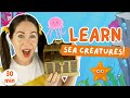 Learn at the beach  prepositions colors syllables counting  toddler learning  learn to talk