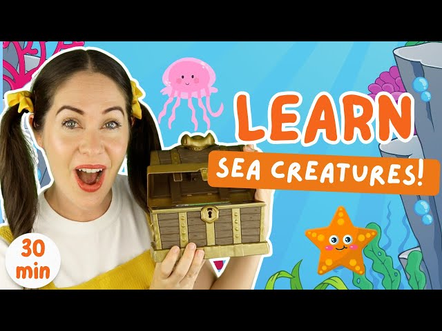 Learn at the beach! | Prepositions, colors, syllables, counting | Toddler learning - learn to talk! class=