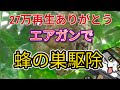 蜂の巣をエアガンで駆除してみた【フルバージョン】