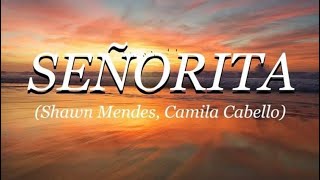 Señorita - Shawn Mendes,Camela Cabello(Remix) Resimi