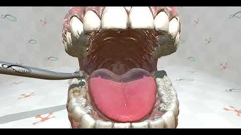 SofaAPAPI-Unity3D - Haptic simulation of dental drilling