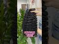 🔥Hot Sale Burmese Curly New Restock on Hand🤩 #hair #virginhair #bundles #burmeseculry #berryshair