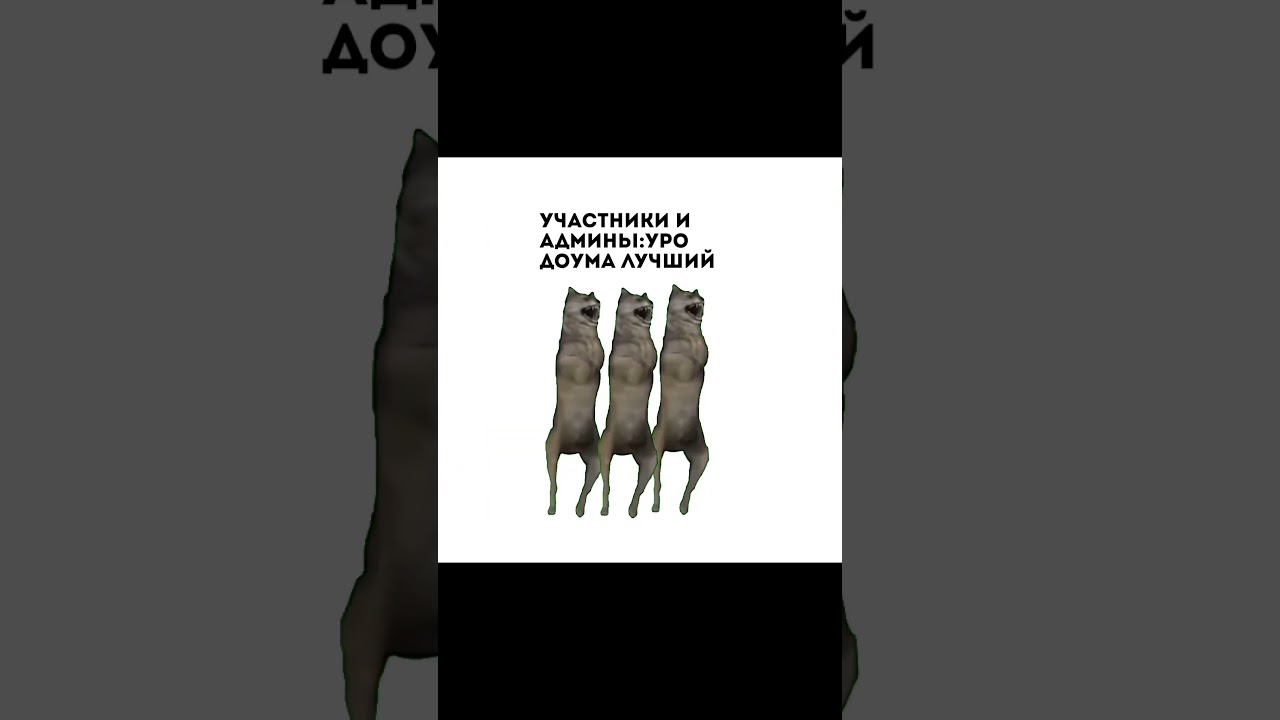 для вступления писать @BUTSSUI8 или @xelenasy 