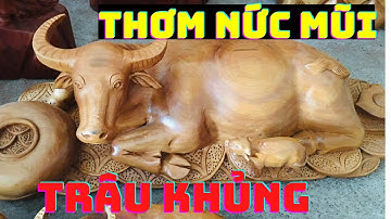 Thơm nức mũi với tượng con trâu khủng gỗ Ngọc Am liền khối.