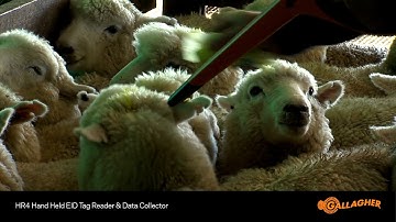 Gallagher HR4 v2 Hand Held EID Tag Reader & Data Collector