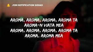 DJ Sava ft. Raluka &amp; Connect-R - Aroma (English Version) (Lyrics)