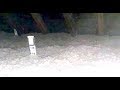 Insulating Old House Cellulose Spray Foam Basement Attic Cap Off Oil Save Money Insulating Old House Cellulose Spray Foam Basement Attic Cap Off Oil Save Money