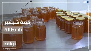 حصة شبشير.. قرية مصرية بلا بطالة والأولى في إنتاج العسل | #نوافذ