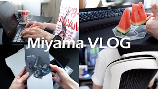 vlog - 作業に集中する日曜日 / 今シーズン初すいか