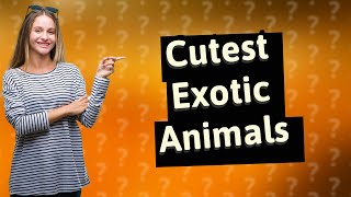 Can I Own an Exotic Animal? Top 25 Cutest Choices
