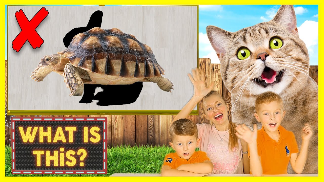 Pet Animal Names for Children ️ Learn Names of Pets for Kids in English