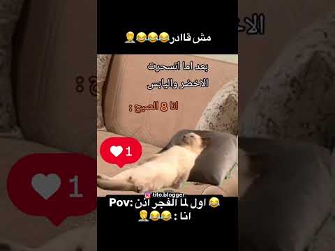 حصل واللهي اكسبلور
