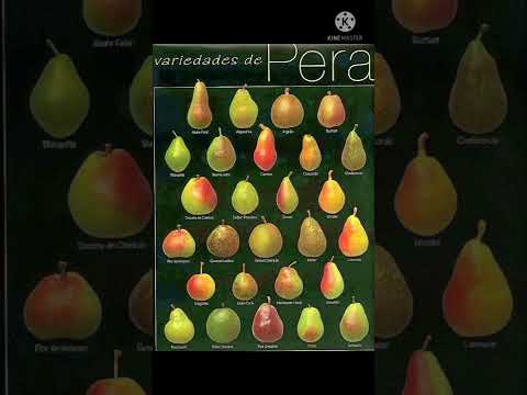 Video: Tipos de árboles de pera - Aprenda sobre las diferentes variedades de pera