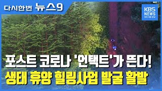 '포스트 코로나' 생태 휴양 힐링사업 발굴 활발 / KBS뉴스(NEWS)