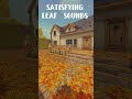 Satisfying Leaf Sounds 🍂 Bird Ambience — Leaf it Alone ASMR