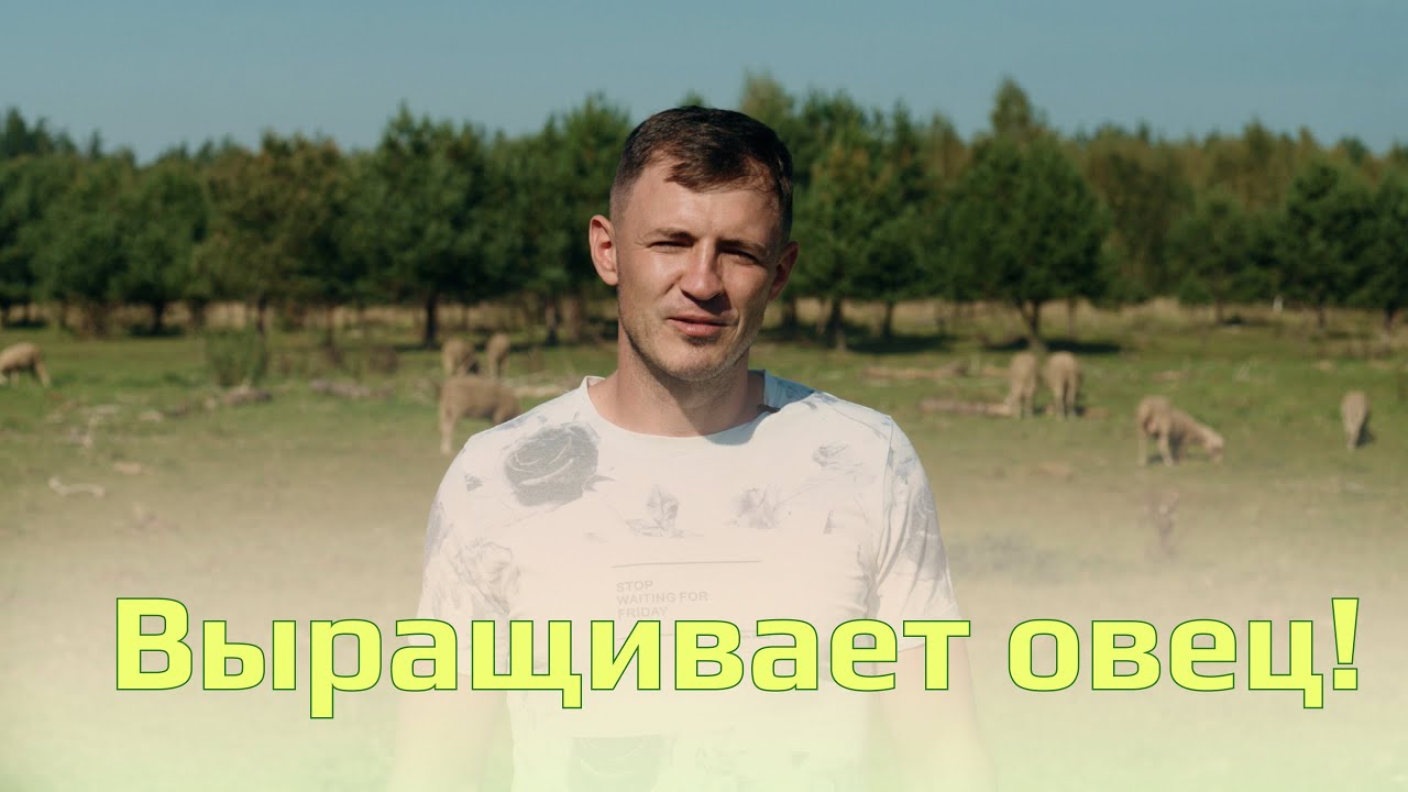 "Получится, если будешь заниматься от души!" // Фермер про разведение овец, рынок и каре ягнёнка