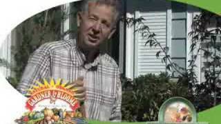Gardening with Ken - How to Plant a Japanese Maple