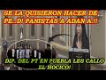 DIPS. DEL PAN SE LA QUISIERON HACER DE PED.. A ADAN EN PUEBLA! VALIENTE DIPUTADA LOS HIZO RETIRARSE!