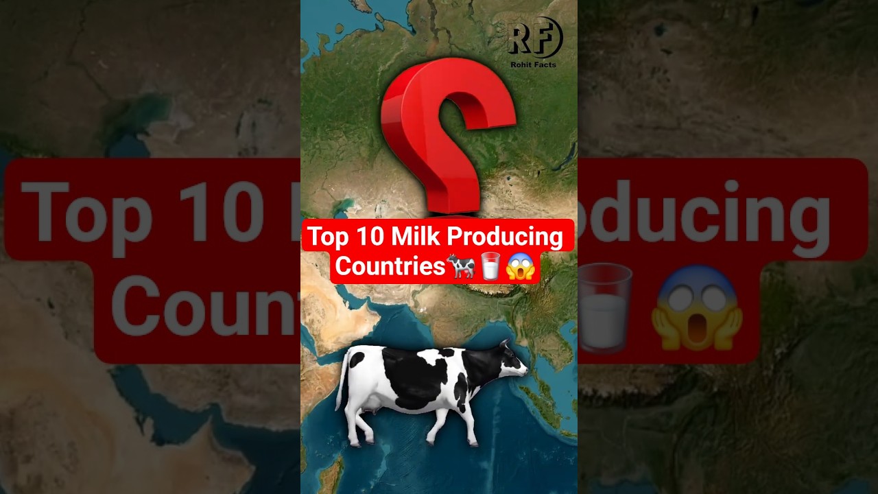 Top 10 Milk Producing Countries in the World 2025 🥛 | Global Dairy Leaders 
