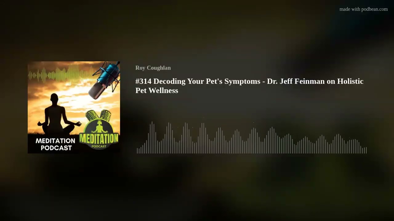 #314 Decoding Your Pet's Symptoms - Dr. Jeff Feinman on Holistic Pet Wellness