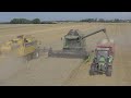 Wheat harvest 2020  nh  deutzfahr  wheat harvest  kverneland 6m disc harrow  flewopol
