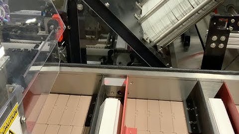 Econocorp Spartan Cartoner with Optional Bucket conveyor & tamp Infeed