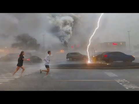 Видео: Оценка повреждений деревьев от молнии - Как спасти дерево, пораженное молнией