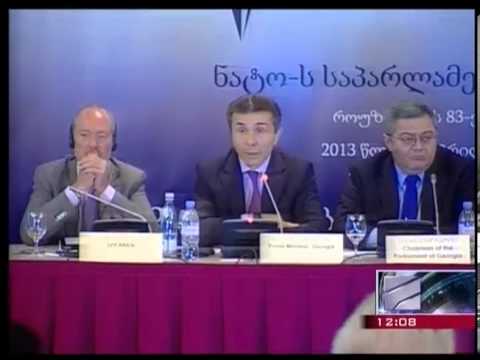 ბარამიძემ ნატოს სემინარზე ივანიშვილი გააკრიტიკა - \"მე გამოვთქვი მხოლოდ ეჭვი\"