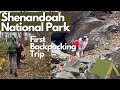Backpacking In Shenandoah National Park With My Dog | Dog&#39;s First Backpacking Trip