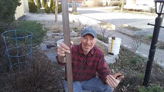 A Very Simple Trellis – Karl’s Food Forest Garden: S01E091