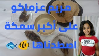 مريم وعمر وحازم  عازمينكو على أكبر سمكة اصطدناها إمبارح ????